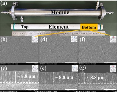 50 cm 19-channel inner membrane module — diagram view 1