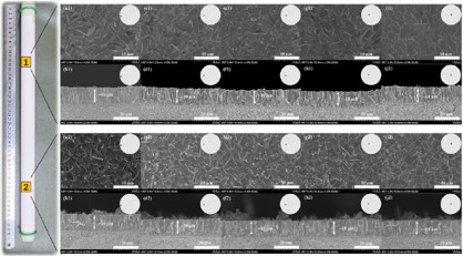 100 cm 61-channel inner membrane module — diagram view 1